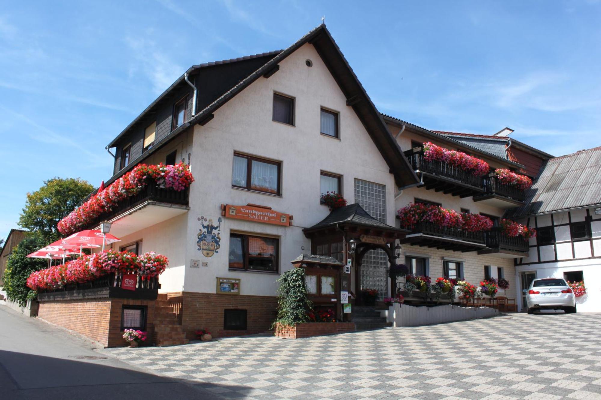 Landgasthof Hotel Sauer ヴィリンゲン エクステリア 写真