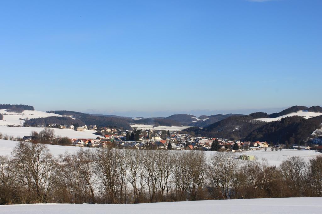 Landgasthof Hotel Sauer ヴィリンゲン エクステリア 写真
